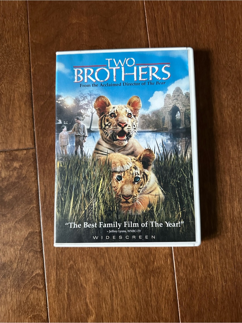 Two Brothers DVD